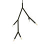 Dainolite Morgan 5 Light 8" Wide Multi Light Pendant Matte Black