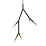 Dainolite Morgan 5 Light 8" Wide Multi Light Pendant Matte Black / Aged Brass