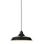 Dainolite Olya 12" Wide Pendant Matte Black