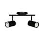 Dainolite Taylor 2 Light 15" Wide Fixed Rail Ceiling Fixture Matte Black