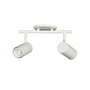 Dainolite Taylor 2 Light 15" Wide Fixed Rail Ceiling Fixture Matte White