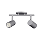 Dainolite Taylor 2 Light 15" Wide Fixed Rail Ceiling Fixture Satin Chrome