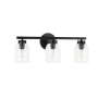Dainolite Vienna 3 Light 21" Wide Vanity Light Matte Black