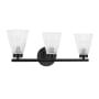 Dainolite Vienna 3 Light 21" Wide Vanity Light Matte Black / Clear