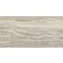 Daltile Calligo - 12" x 24" Solid Wall Tile - Matte Visual - Sold by Carton (15.56 SF/Carton) Nimbus