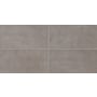 Daltile Sample Only of CH1224T Forte Gray