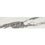 Daltile Divinium - 3" x 12" Solid Floor and Wall Tile - Glossy Visual - Sold by Carton (12.14 SF/Carton) Calypso