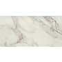 Daltile Famed - 12" x 24" Rectangle Floor and Wall Tile - Matte Visual - Sold by Carton (17.01 SF/Carton) Diamond