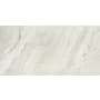 Daltile Famed - 12" x 24" Rectangle Floor and Wall Tile - Matte Visual - Sold by Carton (17.01 SF/Carton) Iconic