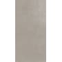 Daltile Haut Monde - 12" x 24" Rectangle Floor and Wall Tile - Light Polished Visual - Sold by Carton (15.12 SF/Carton) Elite Gray