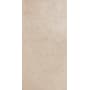 Daltile Haut Monde - 12" x 24" Rectangle Floor and Wall Tile - Light Polished Visual - Sold by Carton (15.12 SF/Carton) Aristocrat Cream