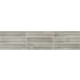 Daltile Indoterra - 2" x 9" Solid Floor and Wall Tile - Matte Visual - Sold by Carton (5.72 SF/Carton) Trail