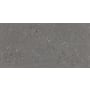 Daltile Loften 12" x 24" Embossed Vinyl Flooring - Sold by Carton (36 SF/Carton) Coal Limestone
