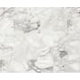 Daltile Sample Only of M36L2S Venetian Calacatta