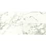 Daltile Sample Only of MA82424MTP Calacatta