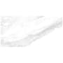 Daltile Sample Only of PT12241P2 Brilliant White