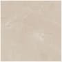 Daltile Sample Only of PT24241LF ELEGANT BEIGE