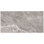 Daltile Sample Only of PT12241P2 ETERNAL GRAY