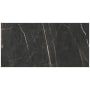 Daltile Sample Only of PT1224A1LF INFINITE BLACK