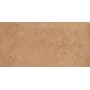 Daltile Rekindle - 12" x 24" Solid Floor and Wall Tile - Matte Visual - Sold by Carton (17.02 SF/Carton) Terracotta