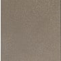Daltile Sample Only of VL71212P Accent Brown