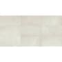 Daltile Sample Only of SA2424P Meta White