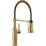Delta Theodora 1.8 GPM Single Hole Pre-Rinse Pull Down Kitchen Faucet - Includes Escutcheon Champagne Bronze