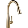 Delta Essa Pull-Down Kitchen Faucet with Magnetic Docking Spray Head - Includes Lifetime Warranty Champagne Bronze