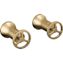 Champagne Bronze