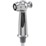 Delta Victorian Spray and Hose Assembly Chrome