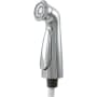 Delta Cassidy Spray Hose and Assembly Brilliance Polished Nickel