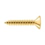 Deltana #10 x 1" Solid Brass Wood Screw - Single Lifetime Polished Brass