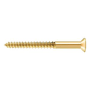 Deltana #12 x 2-1/2" Solid Brass Wood Screw - Single Lifetime Polished Brass