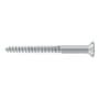 Deltana #12 x 2-1/2" Solid Brass Wood Screw - Single Brushed Chrome