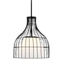 Designers Fountain Evensong 16" Wide Cage Pendant Matte Black