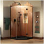 DreamLine Prism Plus 72" High x 40" Wide x 42" Deep Hinged Frameless Shower Enclosure with Clear Glass Matte Black