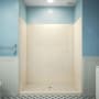DreamLine QWALL-VS 44-48" W x 41" D x 76" H Acrylic Backwall Shower Kit Biscuit