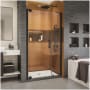DreamLine Elegance-LS 40 1/2 - 42 1/2" W x 72" H Frameless Pivot Shower Door Matte Black
