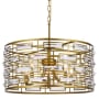 Elegant Lighting Kennedy 5 Light 24" Wide Crystal Drum Chandelier with Clear Crystal Accents Brass