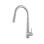 Elegant Lighting Lucas 1.8 GPM Single Hole Pull Down Kitchen Faucet Brushed Nickel