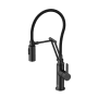 Elegant Lighting Leonardo 1.8 GPM Single Hole Pull Down Kitchen Faucet Matte Black