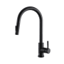 Elegant Lighting Luca 1.8 GPM Single Hole Pull Down Kitchen Faucet Matte Black