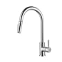 Elegant Lighting Luca 1.8 GPM Single Hole Pull Down Kitchen Faucet Chrome