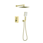 Elegant Lighting Petar Shower Only Trim Package with 2.3 GPM Multi Function Shower Head Brushed Gold