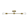 Elegant Lighting Zane 2 Light 22" Wide Semi-flush Linear Ceiling Fixture Satin Gold