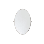 Elegant Lighting Everly 21" W x 32" H Transitional Oval Framed Bathroom Wall Mirror Silver