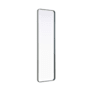 Elegant Lighting Remy 18"W x 60"H Rectangular Flat Medium Density Fiberboard (MDF) Framed Accent Mirror Silver