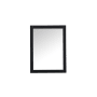Elegant Lighting Aqua 24" W x 32" H Traditional Rectangular Framed Bathroom Wall Mirror Black