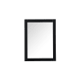 Elegant Lighting Aqua 27" W x 36" H Traditional Rectangular Framed Bathroom Wall Mirror Black
