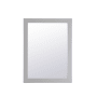 Elegant Lighting Aqua 27" W x 36" H Traditional Rectangular Framed Bathroom Wall Mirror Grey
